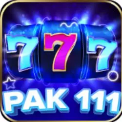 Pak 111 Game